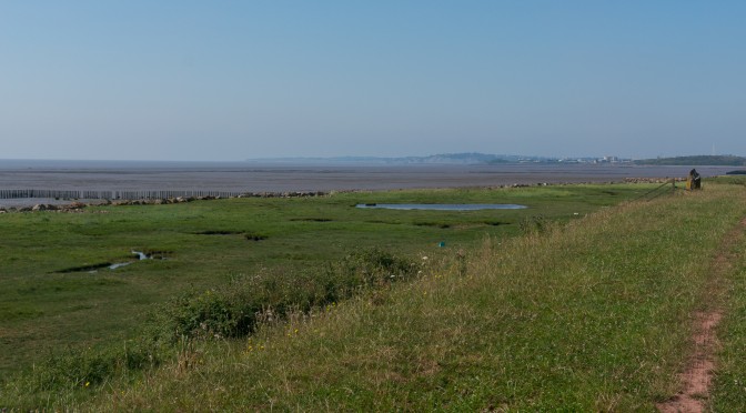 Wentlooge – the sea wall and the levels
