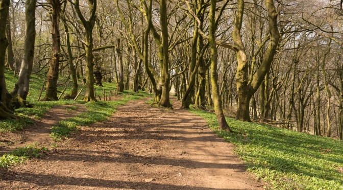 Capital Walk – Graig to Taffs Well