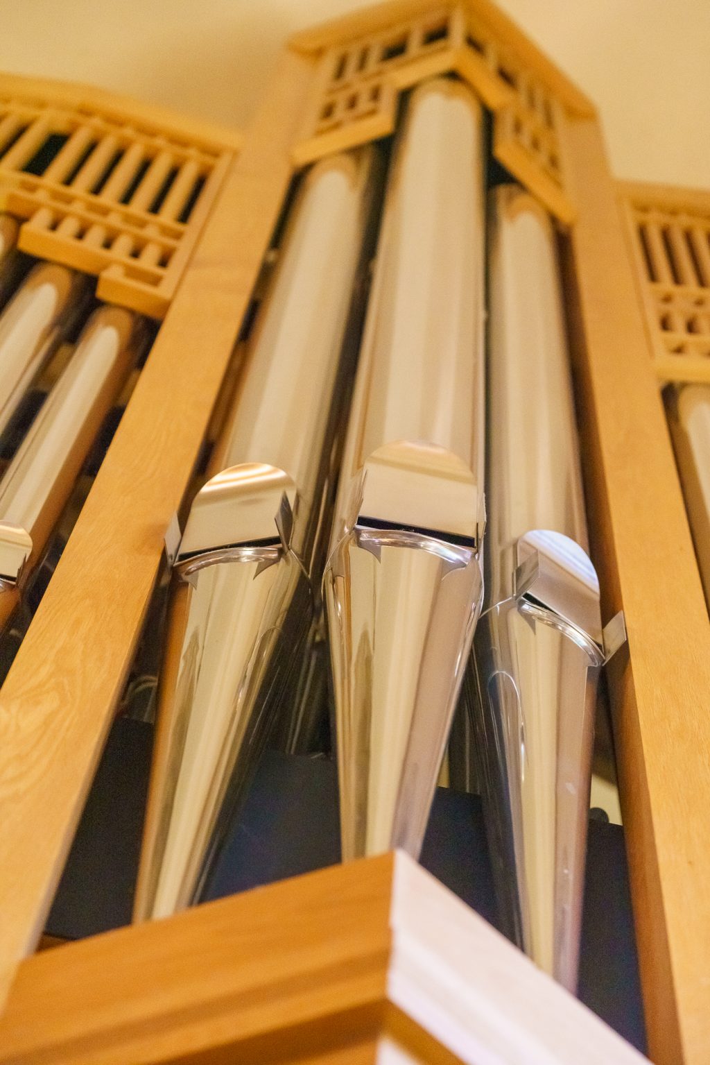 Lightroom Classic Cameras, Profiles and White Balance Just thoughts