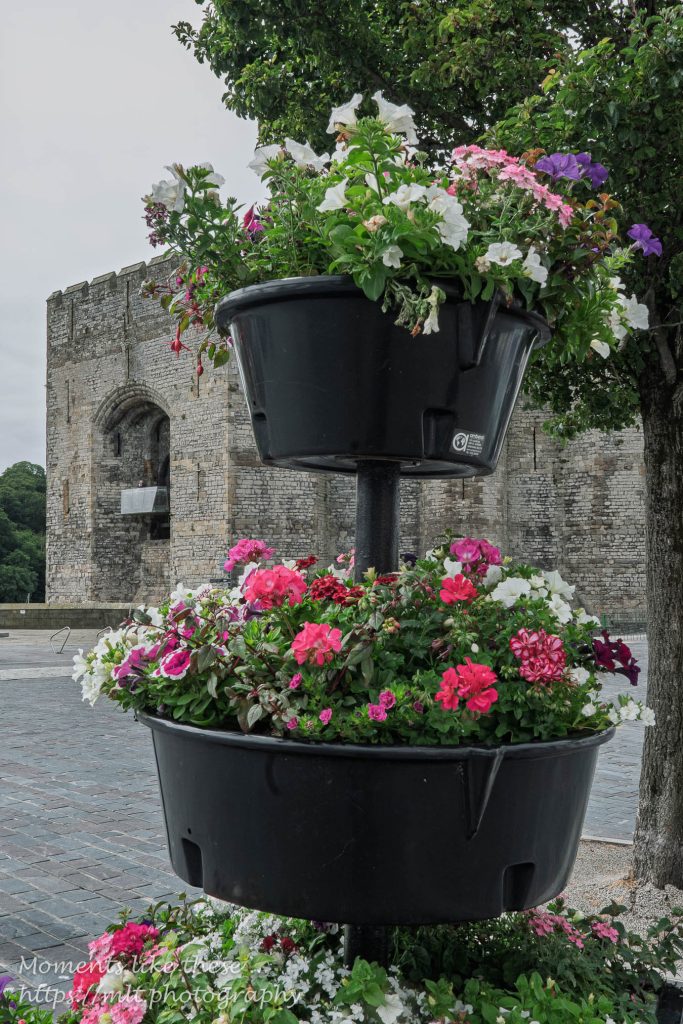 A glimpse of Caernarfon Castle